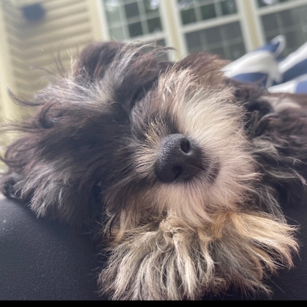 Meet your Posher, Nicole